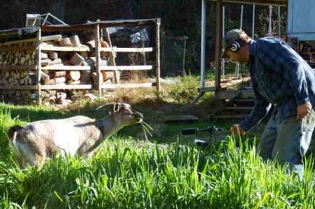 A Slice of Winter Homesteading Life (with Videos) Image